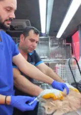 Can Dost 18 Bin Sokak Hayvanına Ulaştı
