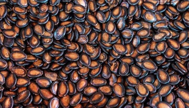 Çöpe attığınız mucize! Karpuz çekirdeğinin gizli gücü